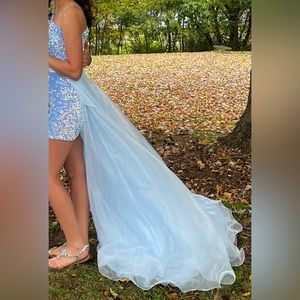 Ashley Lauren Overskirt